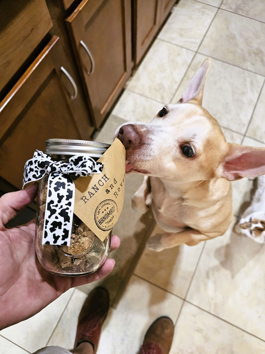 Dog Treats - Pasture Raised Beef Liver