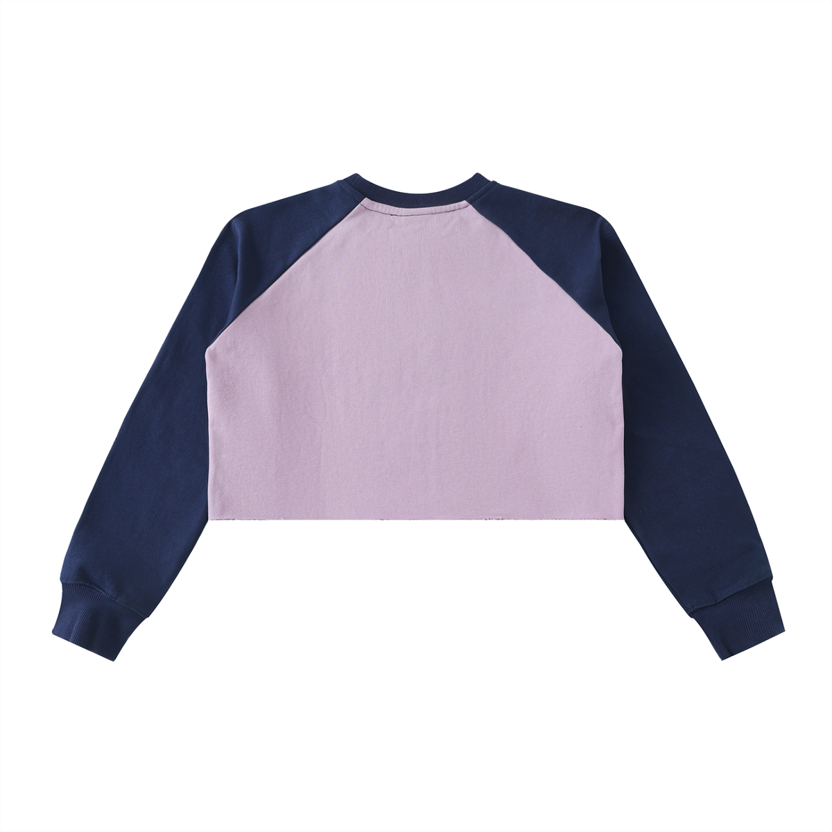 DH WEBER Raw-Hem Color-Block Raglan Crop Sweatshirt