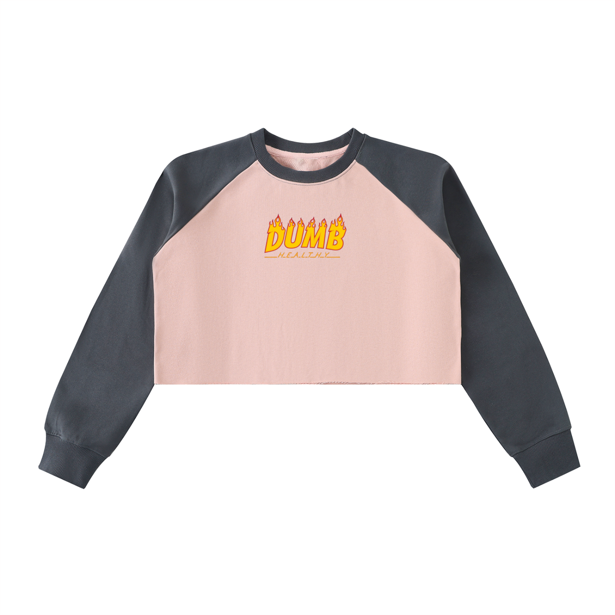 DH WEBER Raw-Hem Color-Block Raglan Crop Sweatshirt
