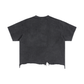 Embroidered 100% Dumb Frayed Tee