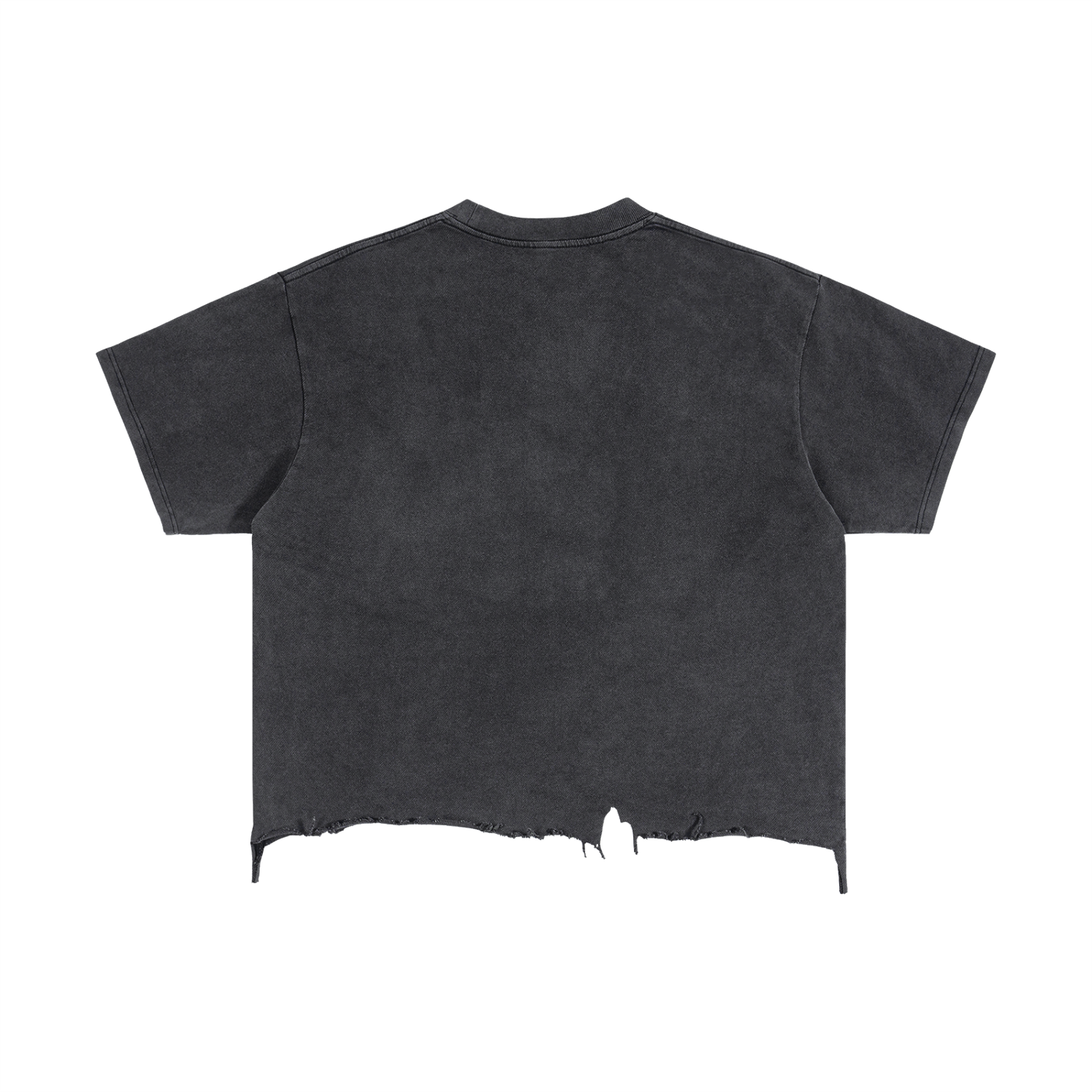 Embroidered 100% Dumb Frayed Tee