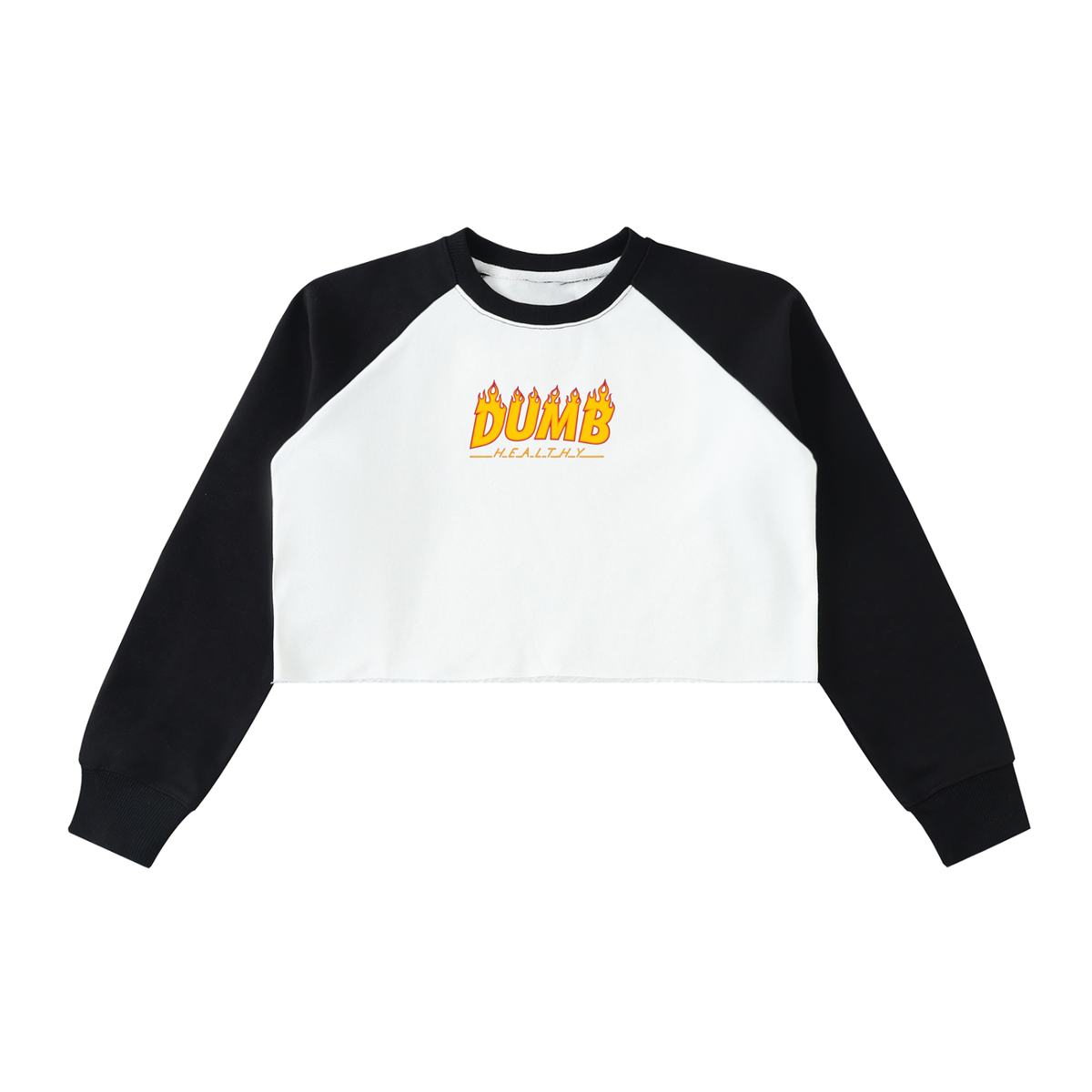 DH WEBER Raw-Hem Color-Block Raglan Crop Sweatshirt