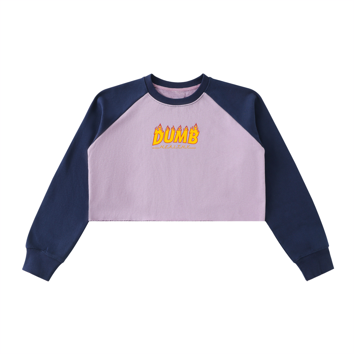 DH WEBER Raw-Hem Color-Block Raglan Crop Sweatshirt
