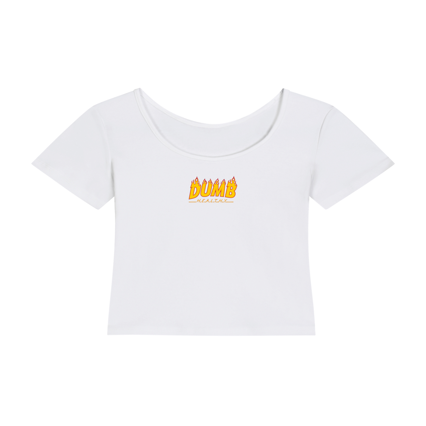 DUMB HEALTHY x WEBER-BANDIT CO. — WIFIE TEE
