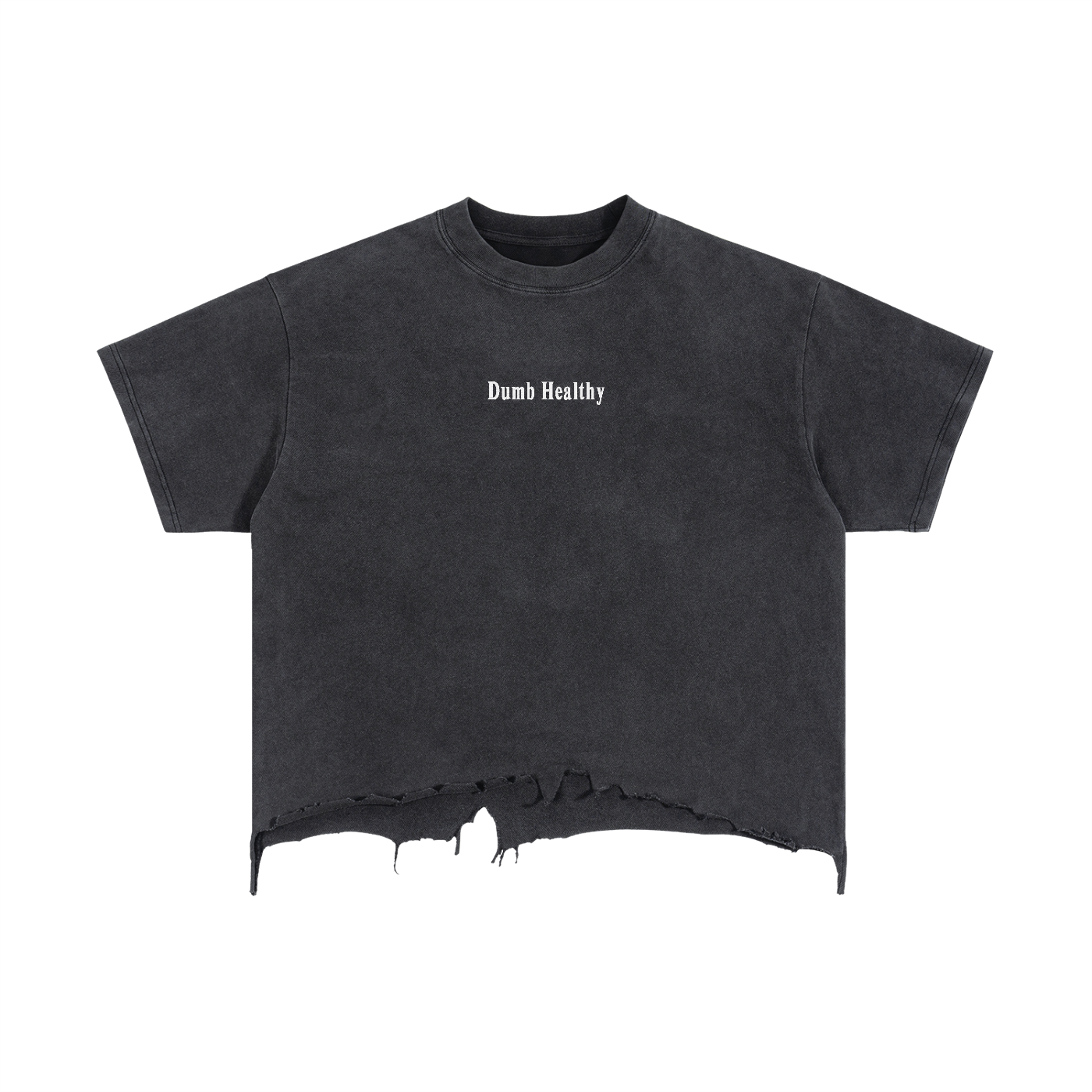 Embroidered 100% Dumb Frayed Tee