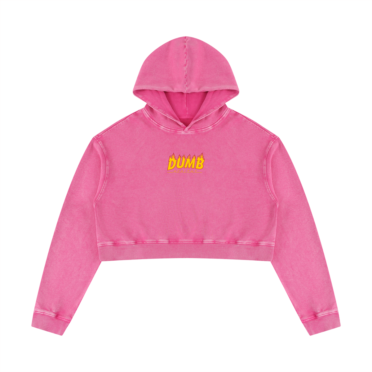 Women’s DH Weber Crop Hoodie