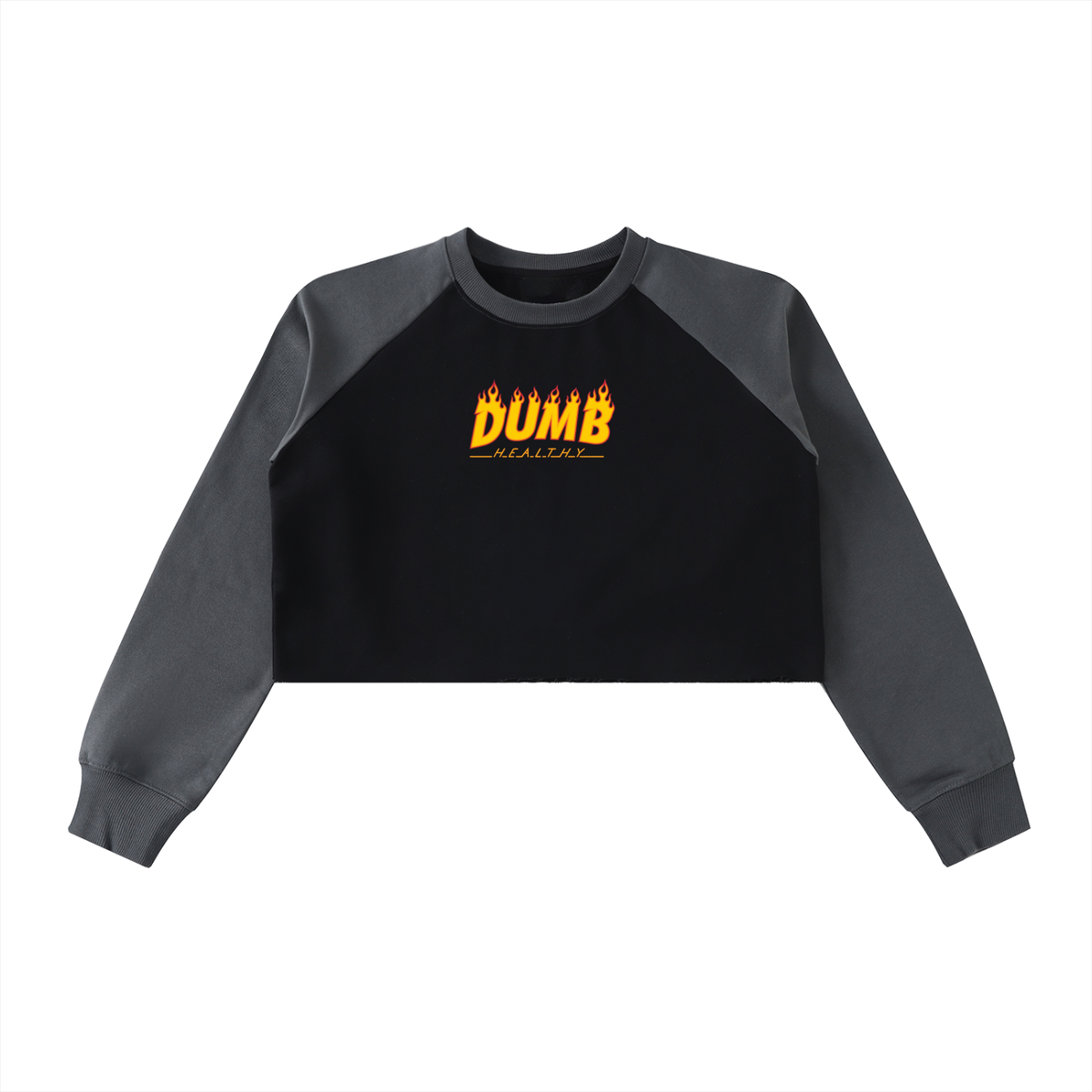 DH WEBER Raw-Hem Color-Block Raglan Crop Sweatshirt
