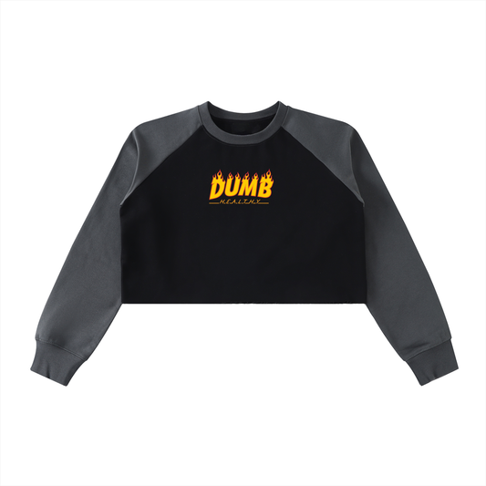 DH WEBER Raw-Hem Color-Block Raglan Crop Sweatshirt
